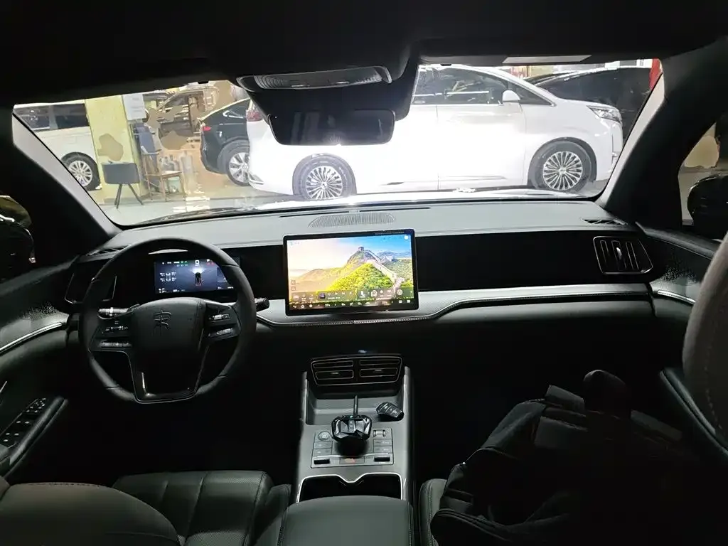 BYD Pro New Energy 2025 из CN, фото 10