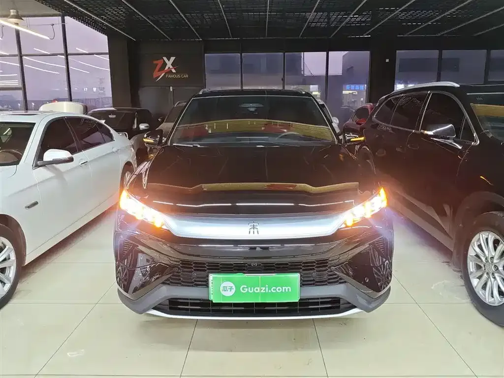 BYD Pro New Energy 2025 из CN, фото 6