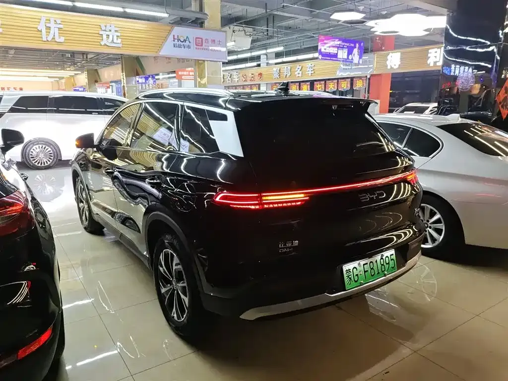 BYD Pro New Energy 2025 из CN, фото 8
