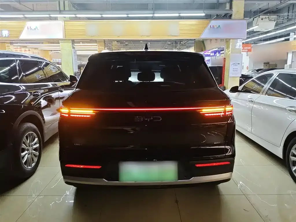 BYD Pro New Energy 2025 из CN, фото 7