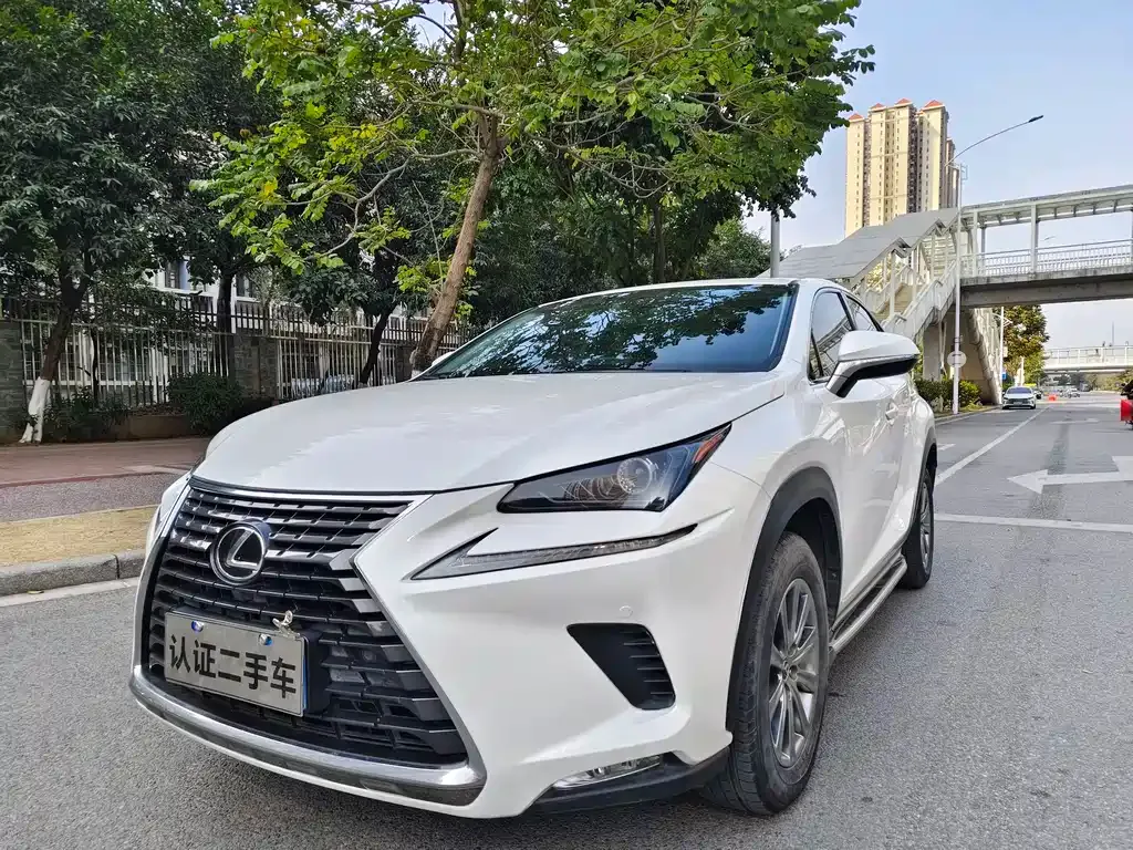 Lexus NX 2021 из CN, фото 1