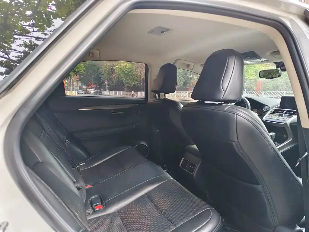 Lexus NX 2021 из CN, фото 4