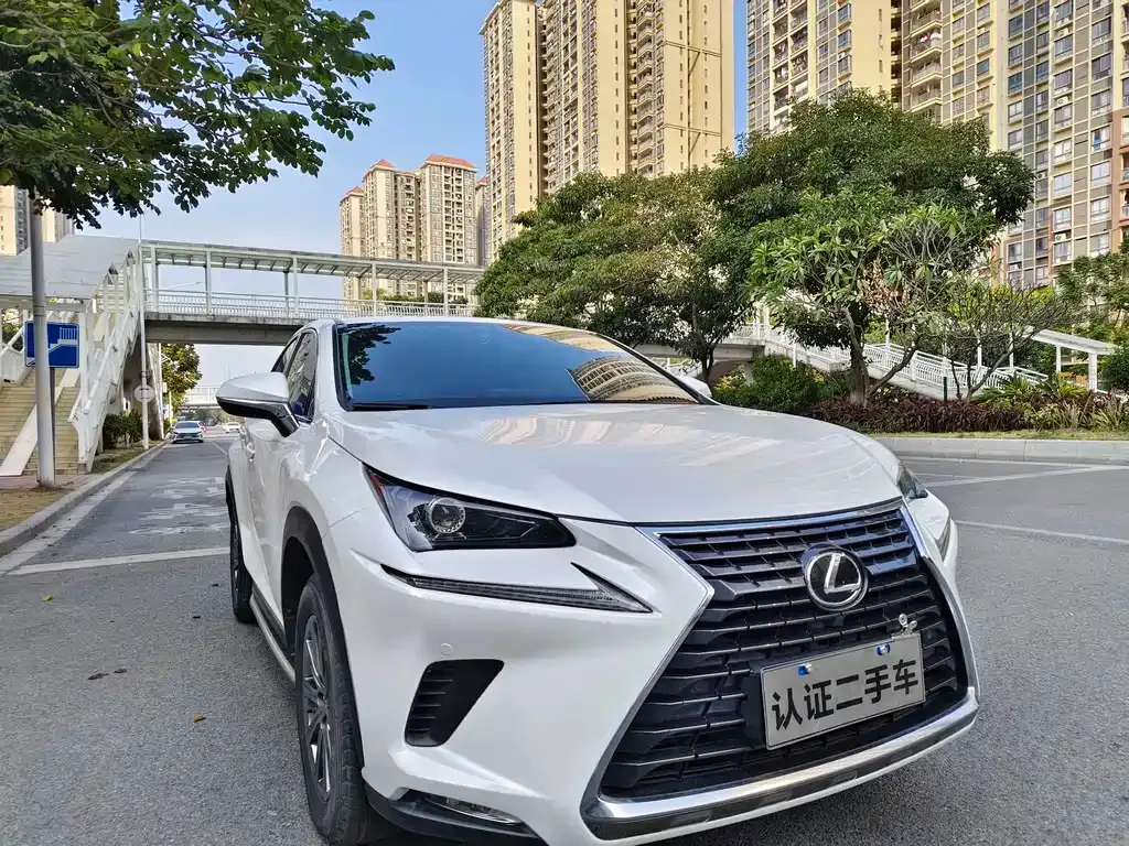 Lexus NX 2021 из CN, фото 10