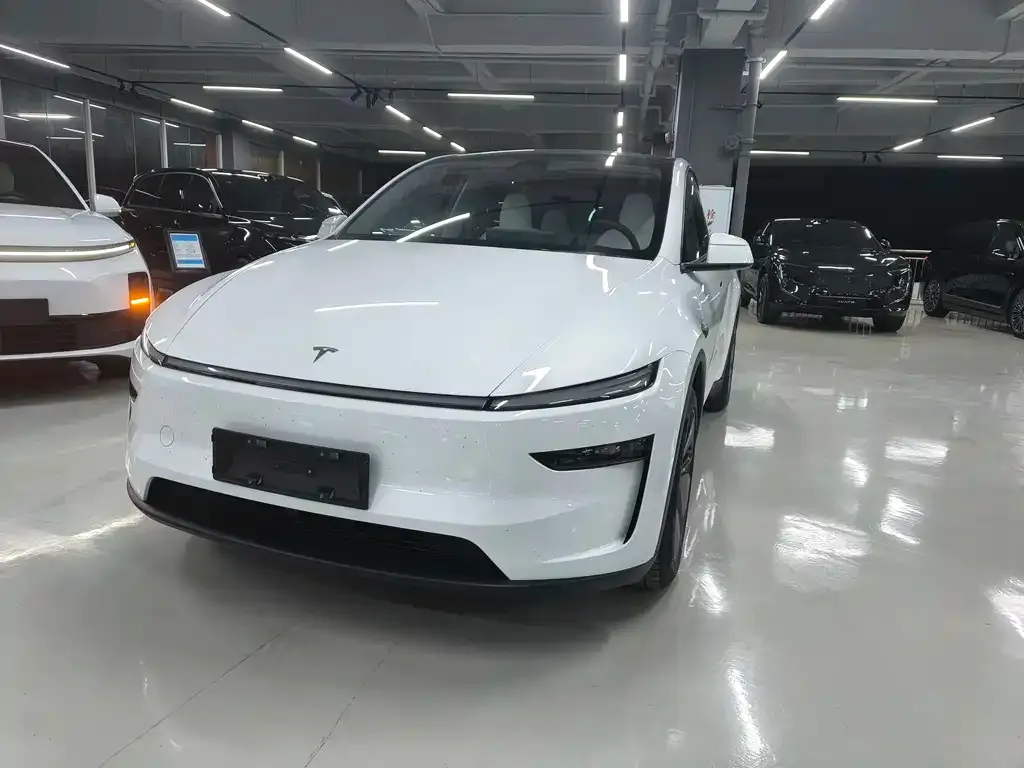 Tesla Model Y 2025 из CN, фото 1