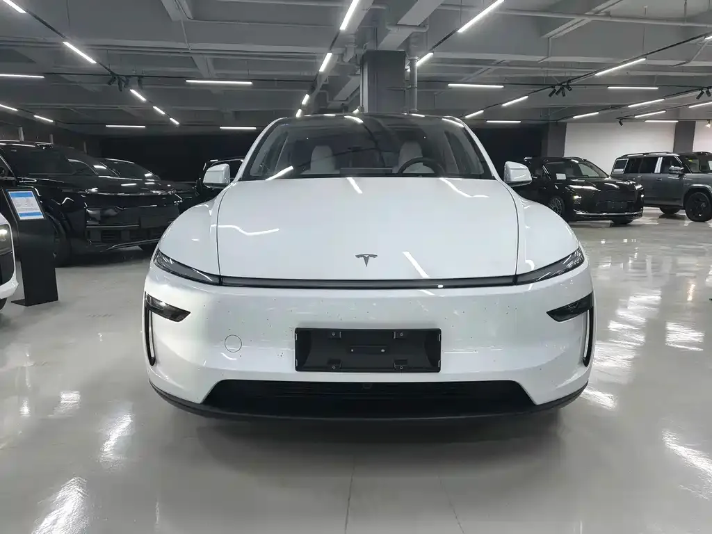 Tesla Model Y 2025 из CN, фото 7