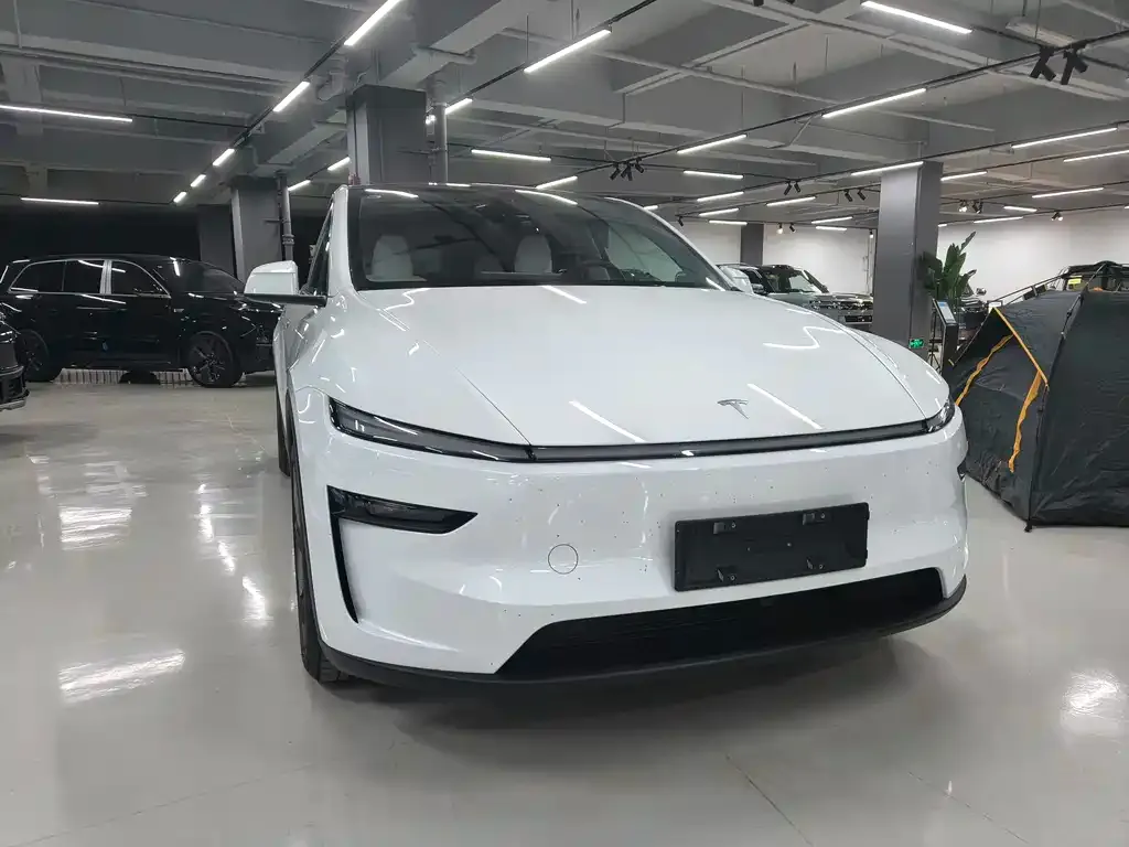 Tesla Model Y 2025 из CN, фото 6