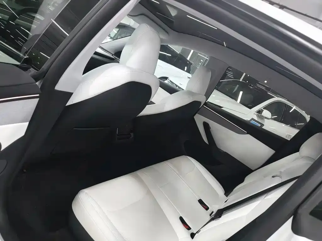 Tesla Model Y 2025 из CN, фото 3