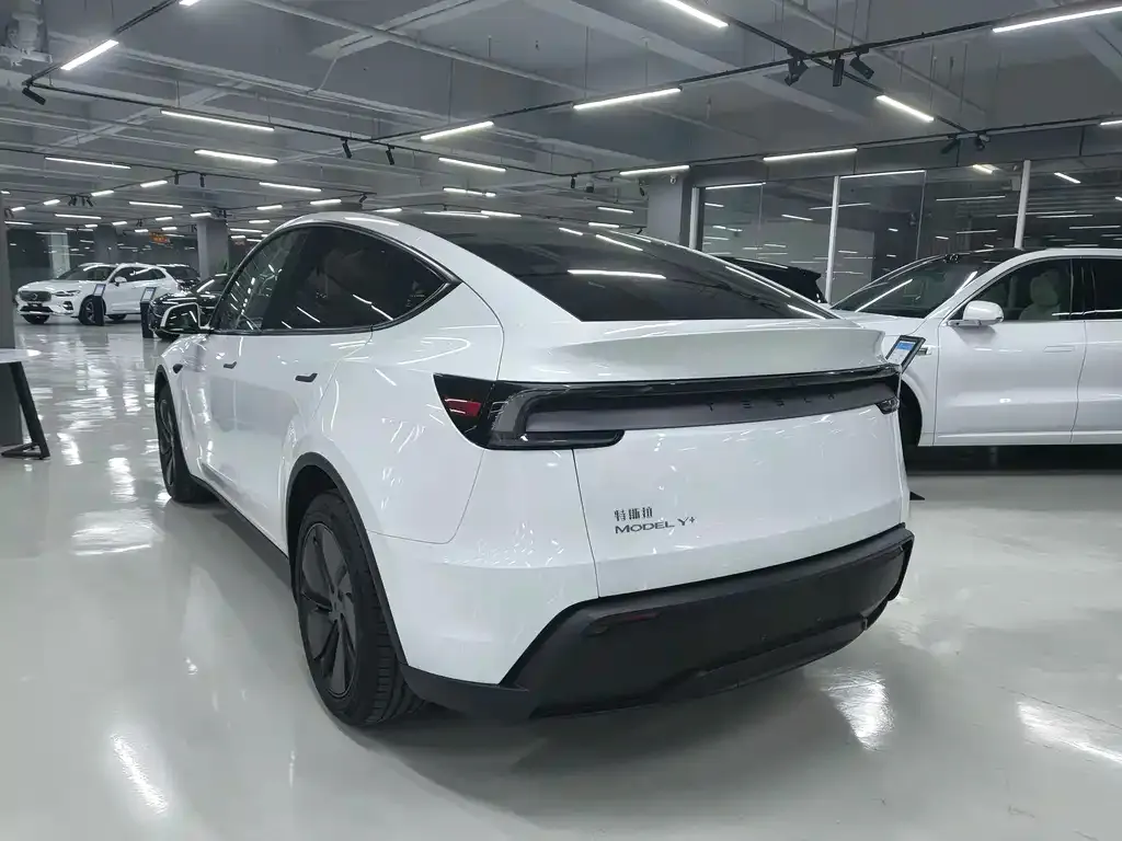 Tesla Model Y 2025 из CN, фото 8