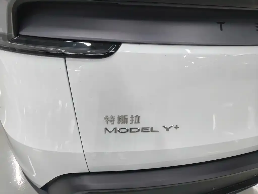 Tesla Model Y 2025 из CN, фото 4