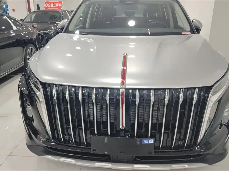 Hongqi HS7 PHEV 2026 из CN, фото 8