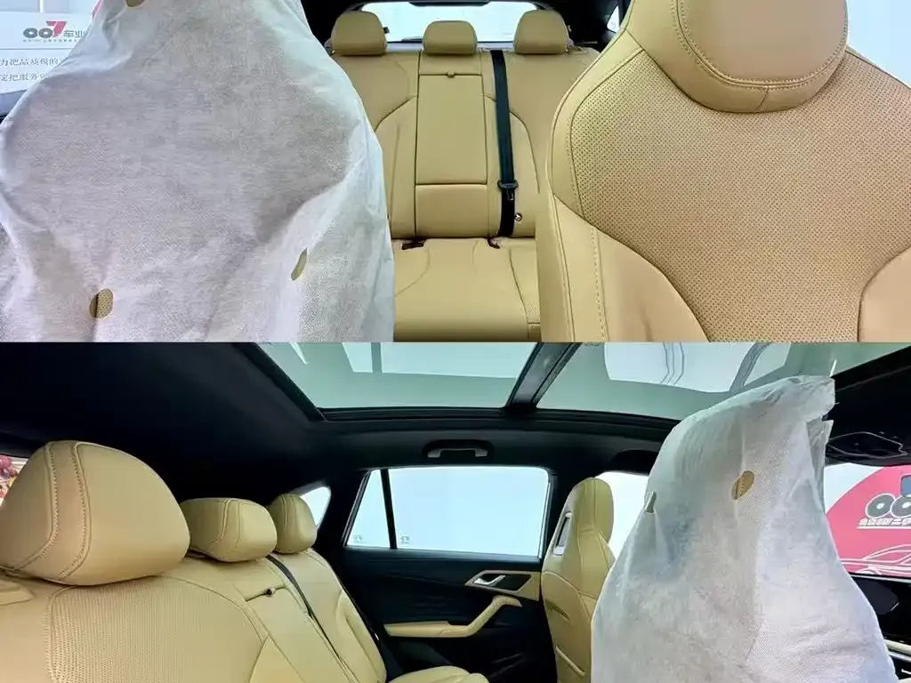 Roewe RX5 New Energy 2025 из CN, фото 2