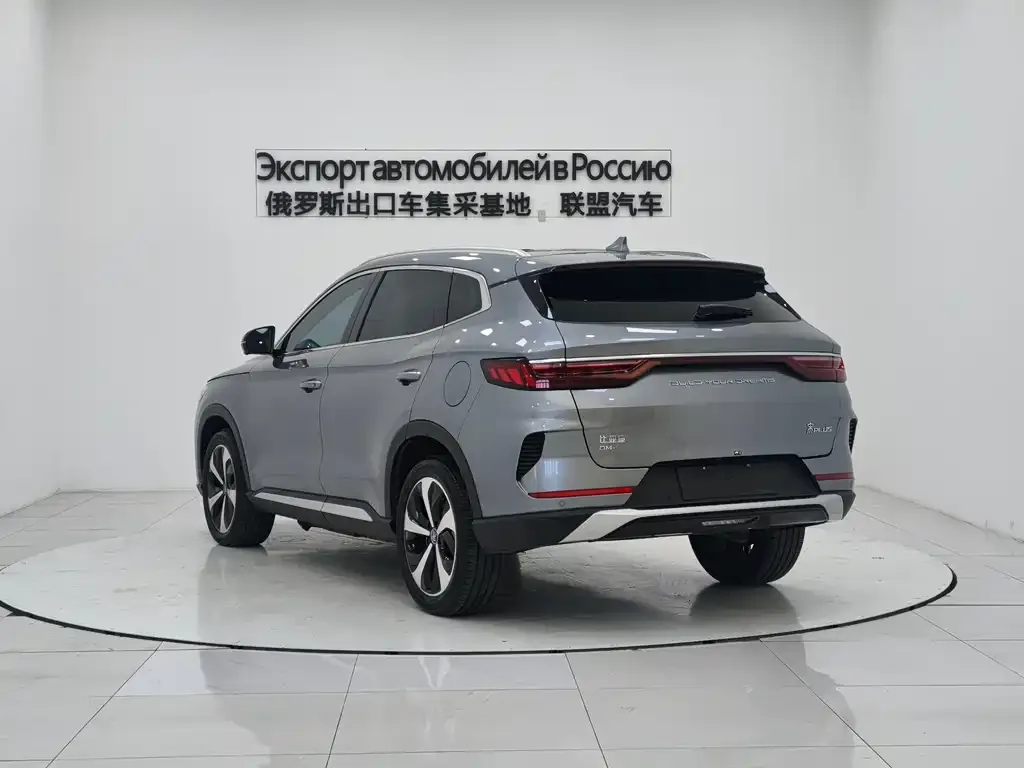 BYD PLUS New Energy 2023 из CN, фото 4