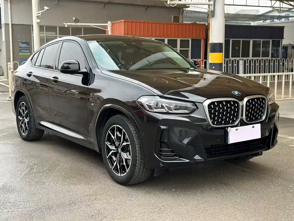 BMW X4 2023 из CN, фото 10