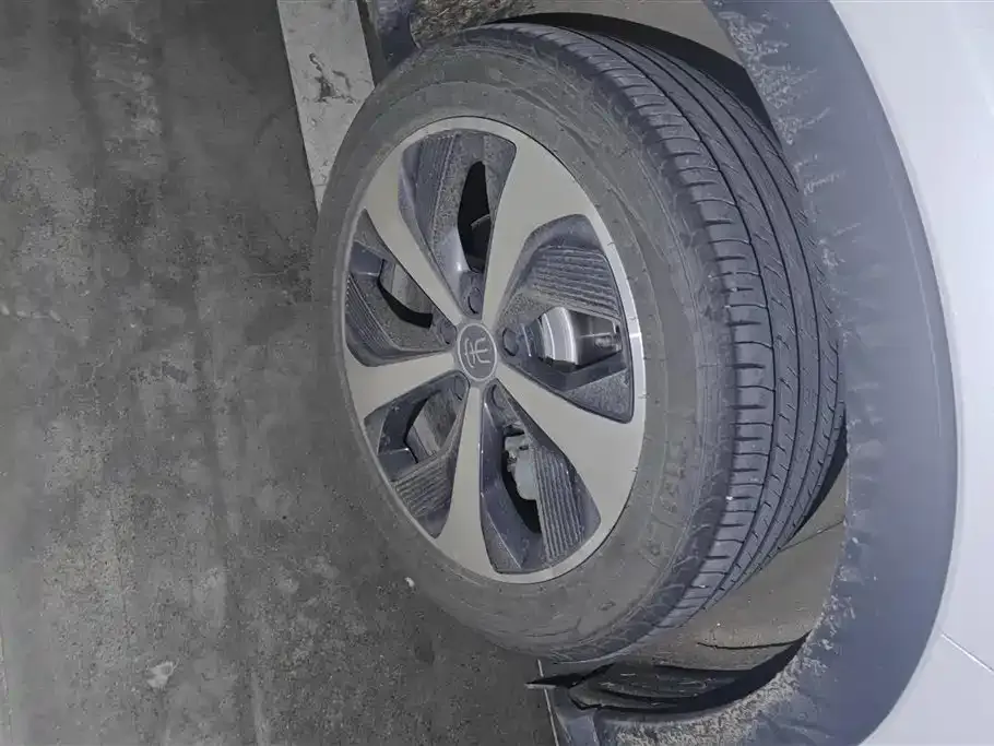 BYD PLUS New Energy 2023 из CN, фото 6