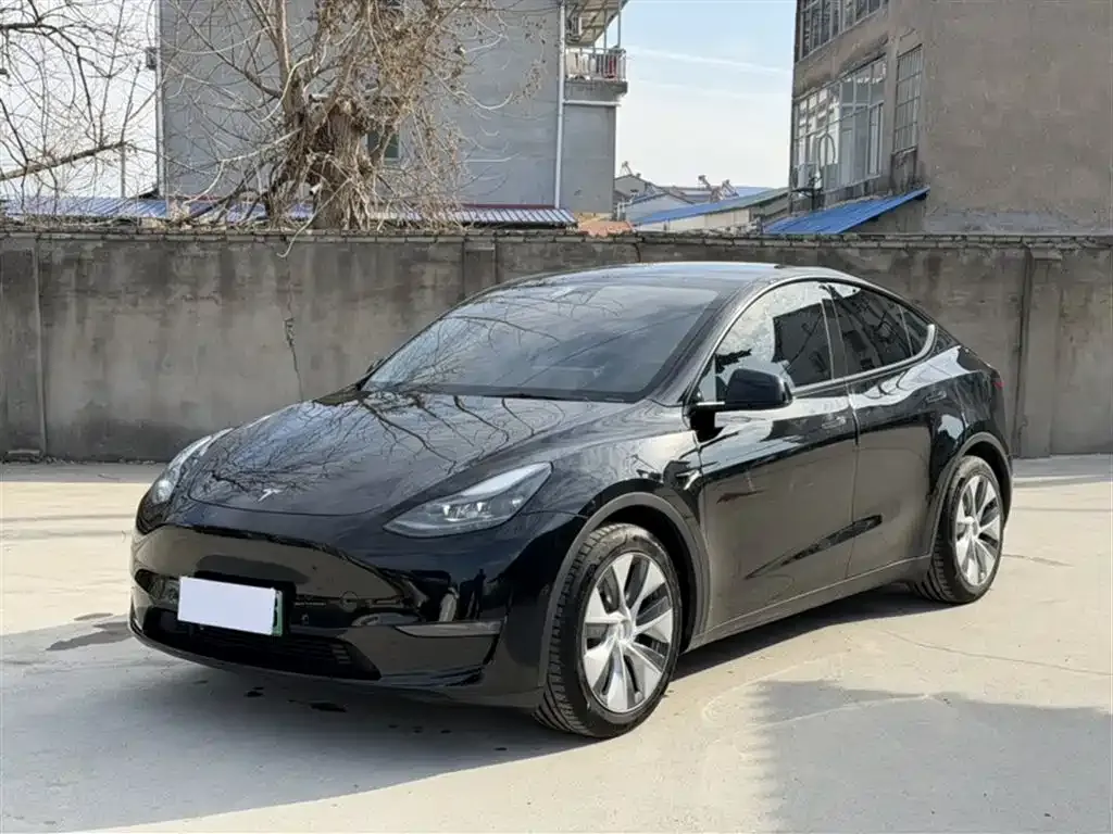 Tesla Model Y 2021 из CN, фото 1