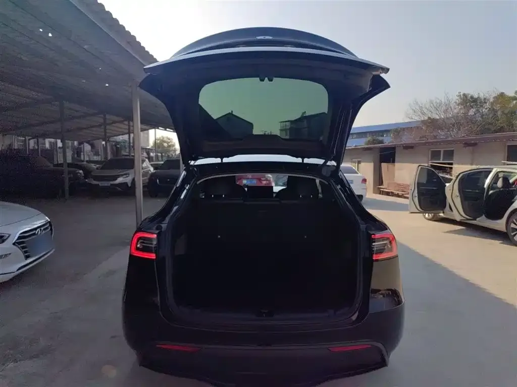 Tesla Model Y 2021 из CN, фото 2