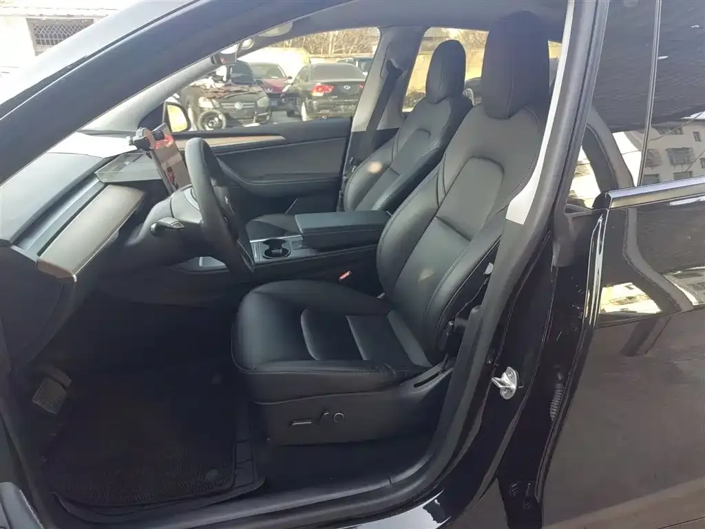 Tesla Model Y 2021 из CN, фото 6