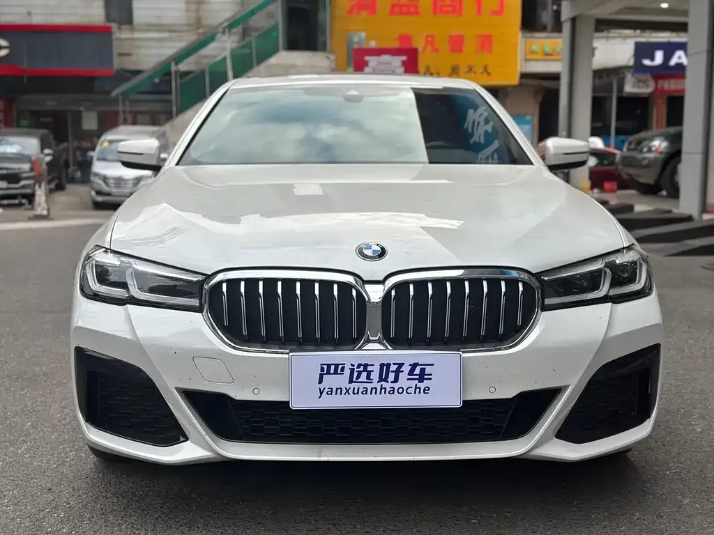 BMW 5 Series 2021 из CN, фото 9