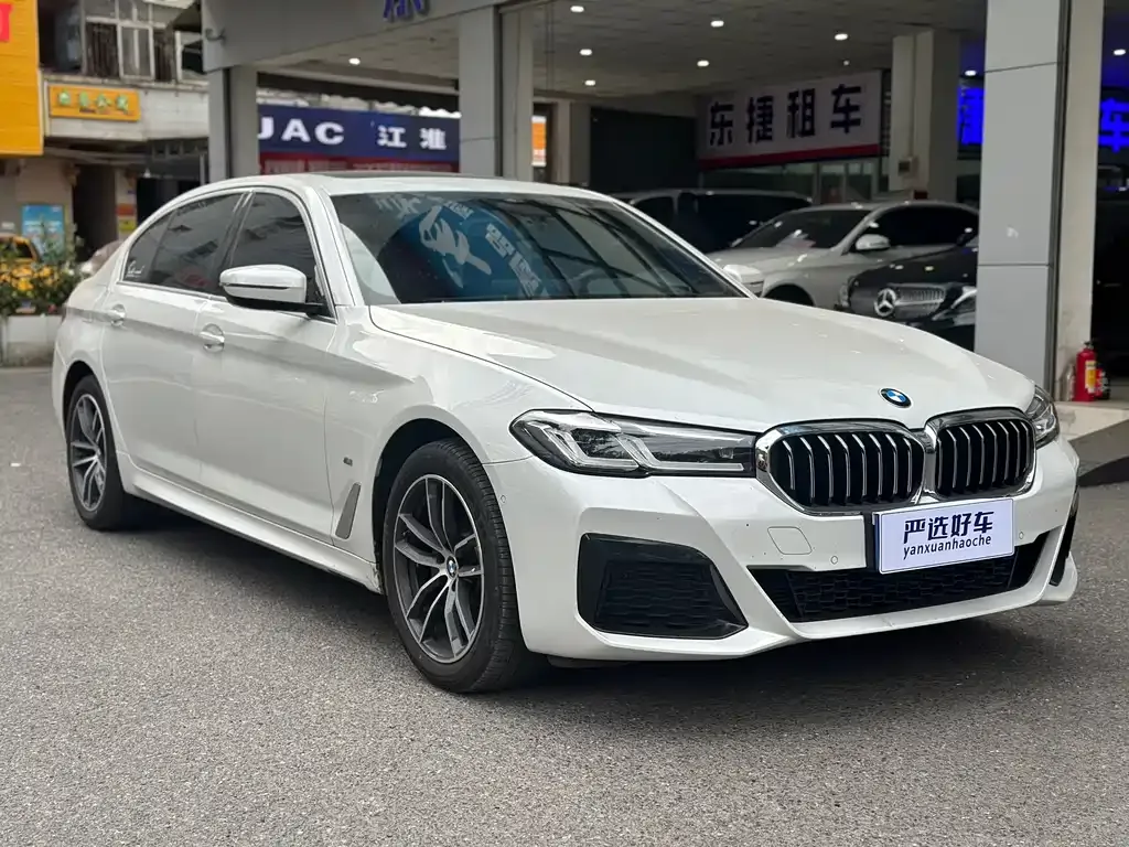 BMW 5 Series 2021 из CN, фото 10