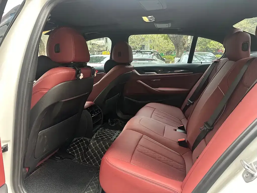 BMW 5 Series 2021 из CN, фото 4