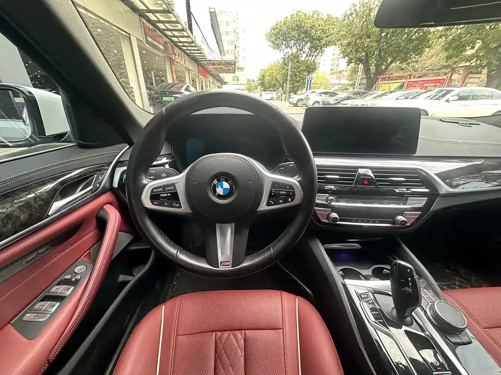 BMW 5 Series 2021 из CN, фото 8