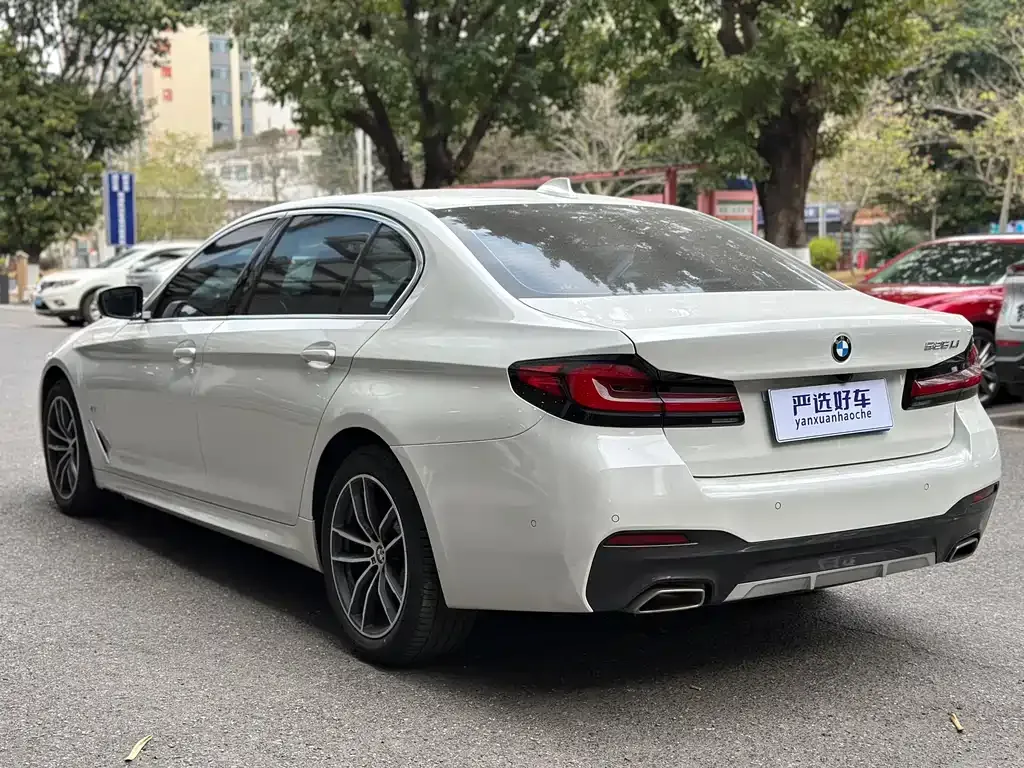BMW 5 Series 2021 из CN, фото 7