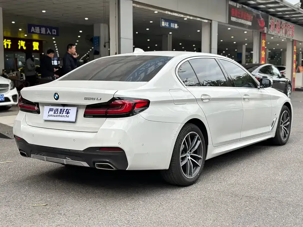BMW 5 Series 2021 из CN, фото 6
