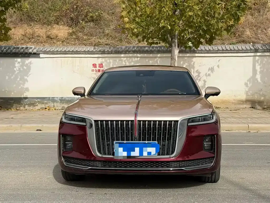 Hongqi H9 2021 из CN, фото 4