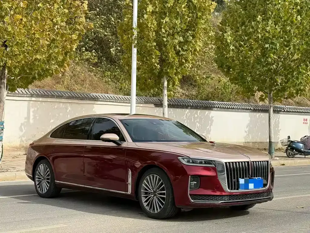 Hongqi H9 2021 из CN, фото 7