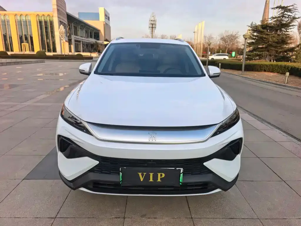 BYD Pro New Energy 2025 из CN, фото 1