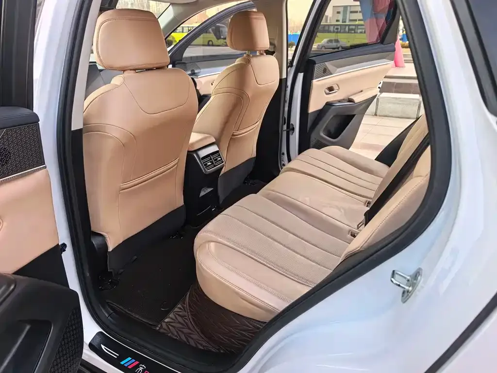 BYD Pro New Energy 2025 из CN, фото 3