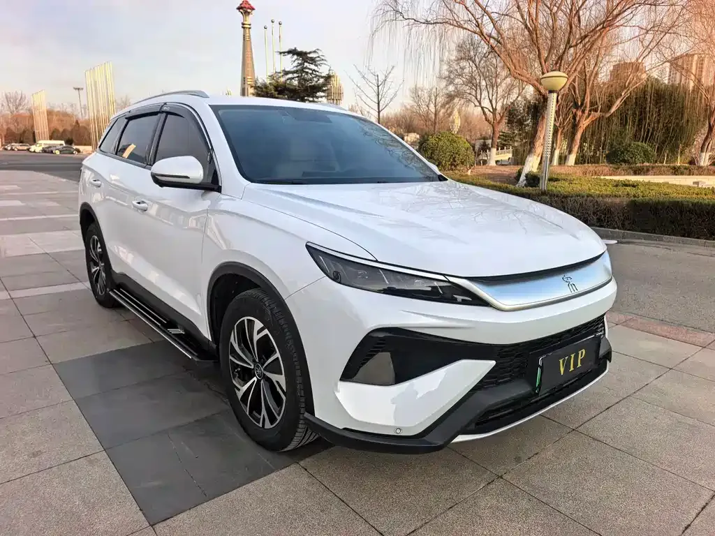BYD Pro New Energy 2025 из CN, фото 9