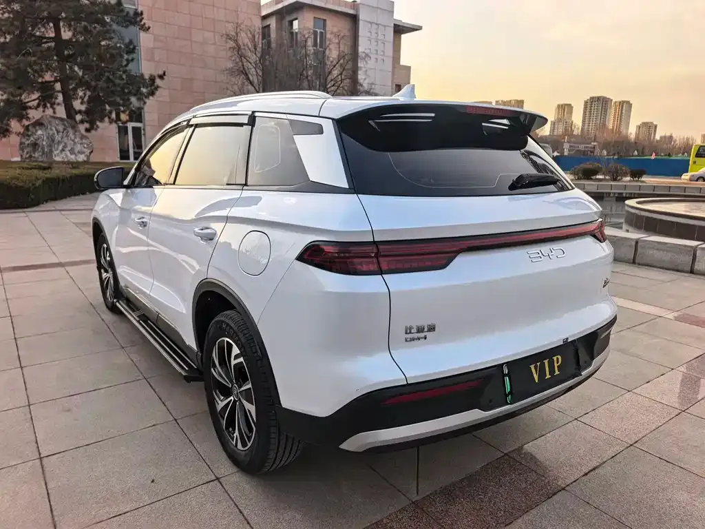 BYD Pro New Energy 2025 из CN, фото 6