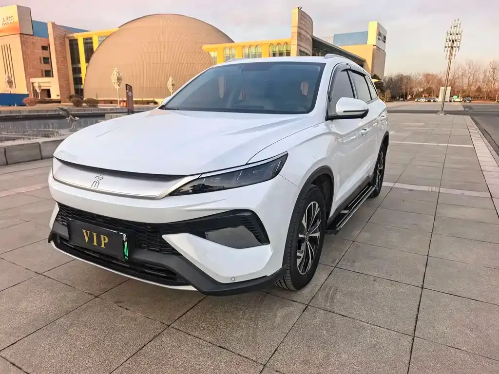 BYD Pro New Energy 2025 из CN, фото 10