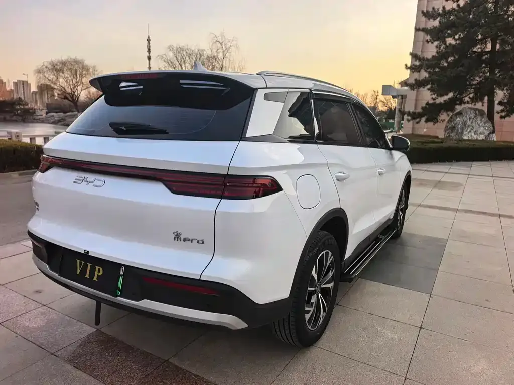 BYD Pro New Energy 2025 из CN, фото 5