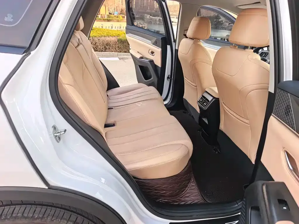 BYD Pro New Energy 2025 из CN, фото 2