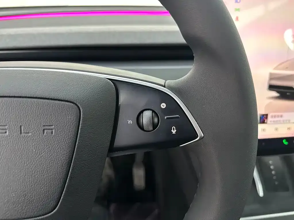 Tesla Model Y L 2025 из CN, фото 9