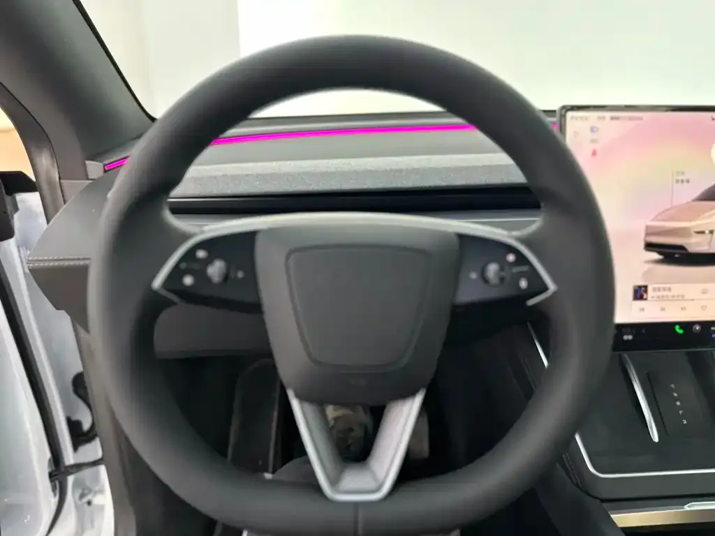 Tesla Model Y L 2025 из CN, фото 3