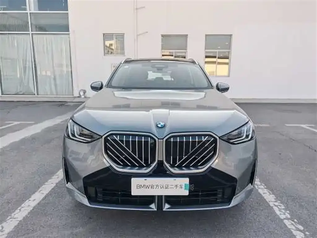 BMW X3 2025 из CN, фото 9