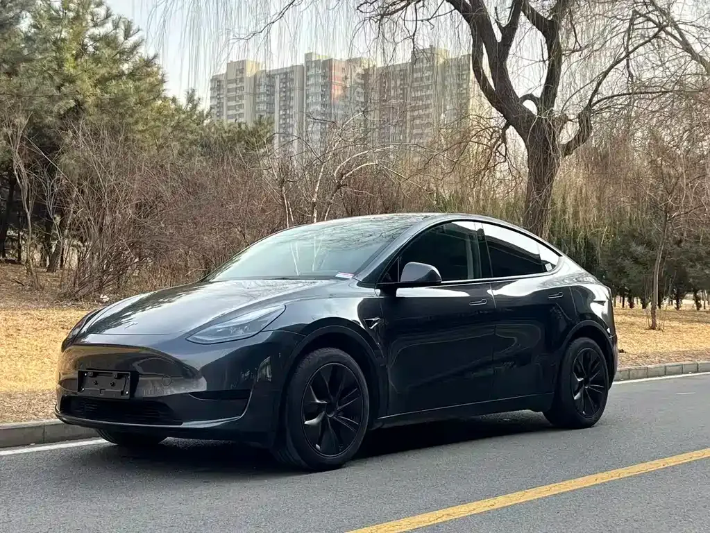 Tesla Model Y 2024 из CN, фото 1