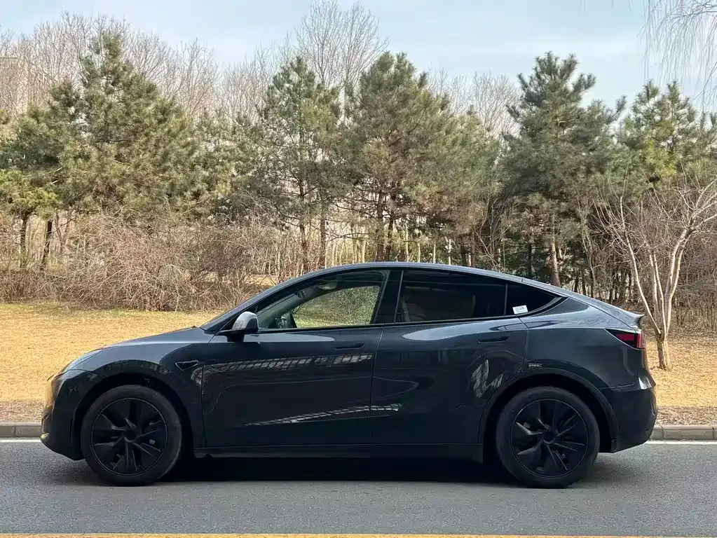 Tesla Model Y 2024 из CN, фото 9