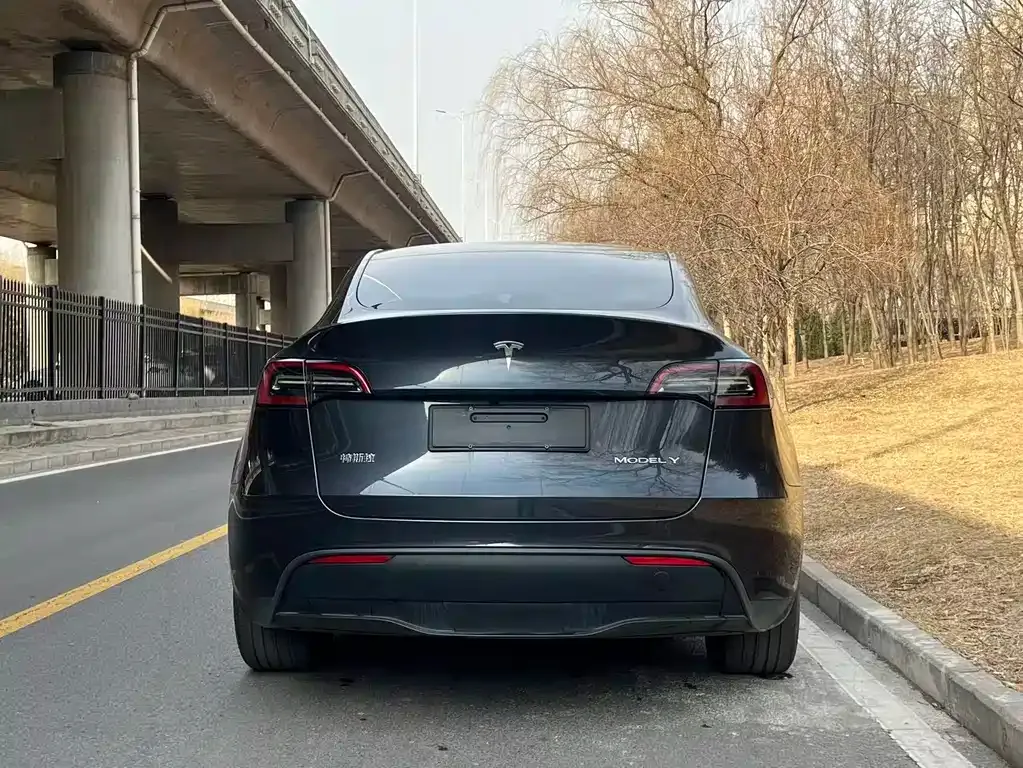 Tesla Model Y 2024 из CN, фото 7