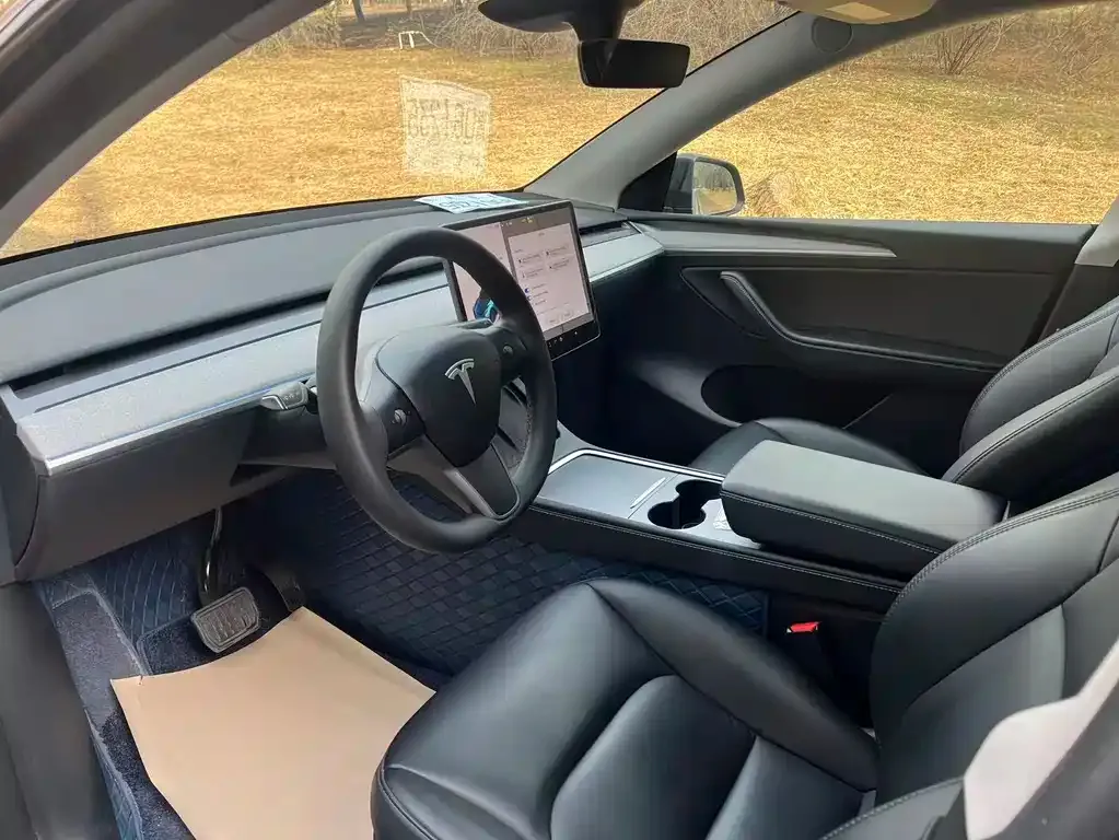 Tesla Model Y 2024 из CN, фото 6
