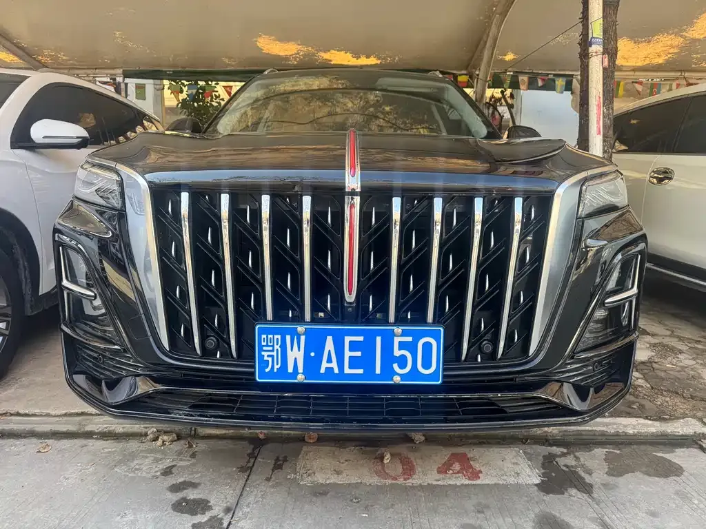 Hongqi HS5 2024 из CN, фото 10