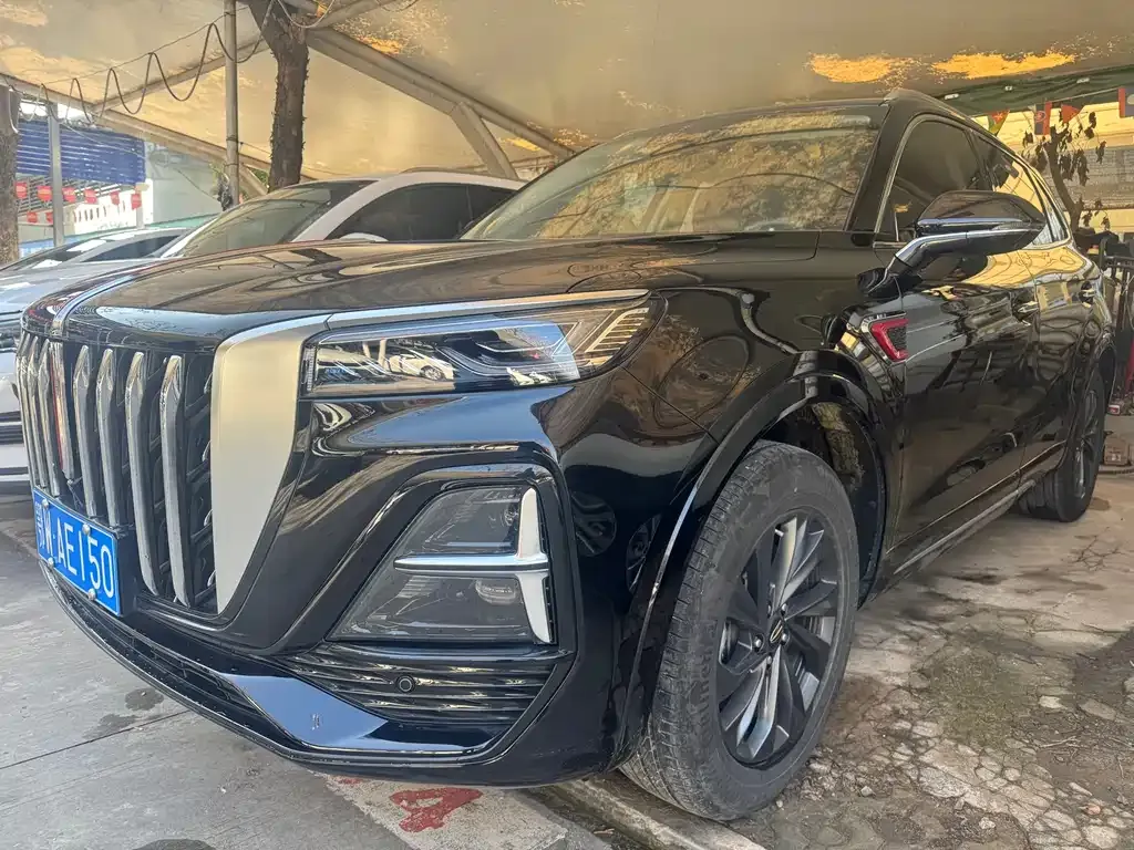 Hongqi HS5 2024 из CN, фото 9