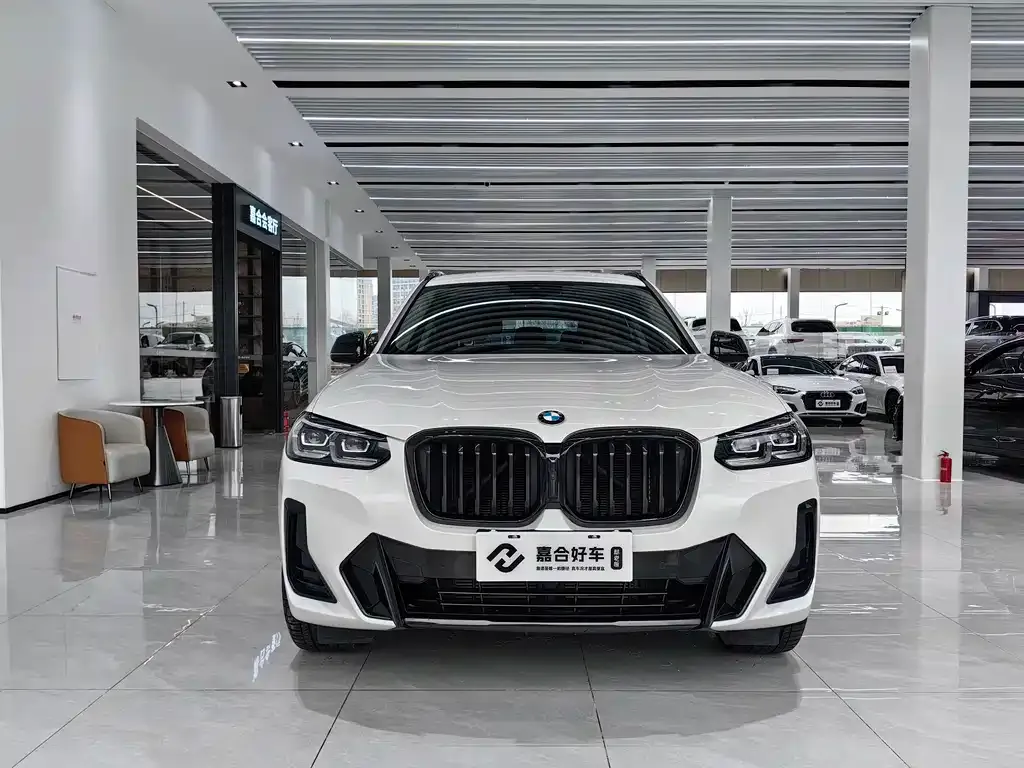 BMW X3 2022 из CN, фото 6