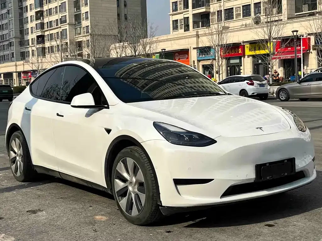 Tesla Model Y — фото 3
