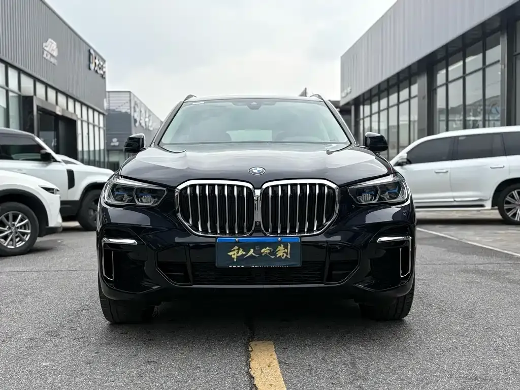 BMW X5 2023 из CN, фото 6