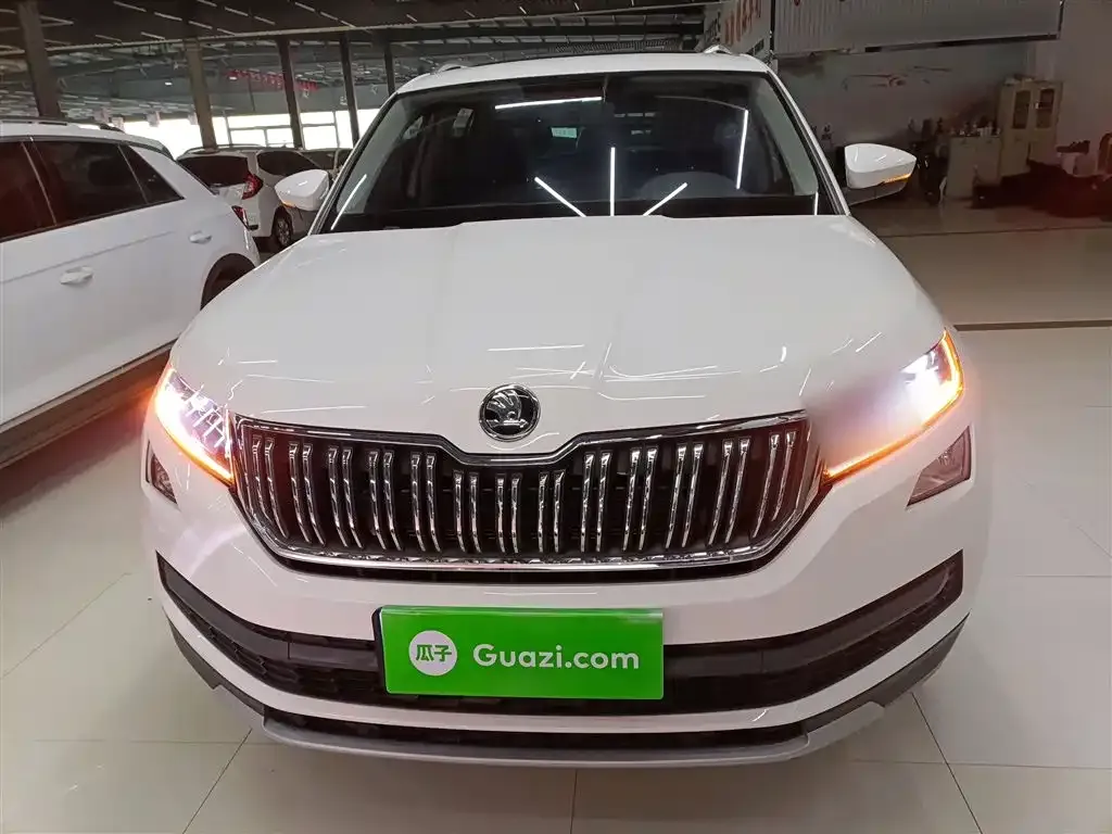 Skoda Kodiaq 2022 из CN, фото 8