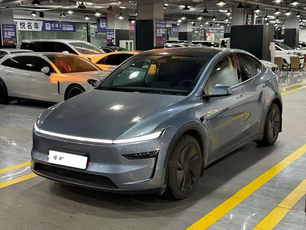 Tesla Model Y — фото 1
